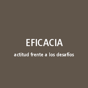 Eficacia. Actitud frente a los desafíos
