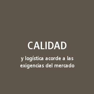 Calidad y logística acorde a las exigencias del mercado